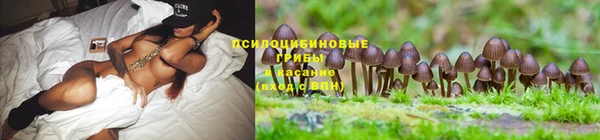 прущая мука Лабытнанги