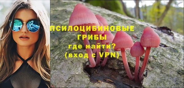 герыч Ладушкин
