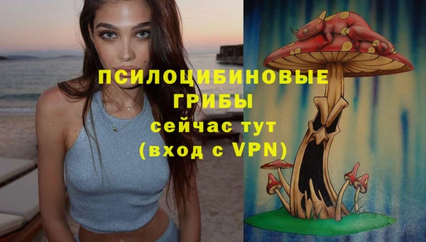 герыч Ладушкин