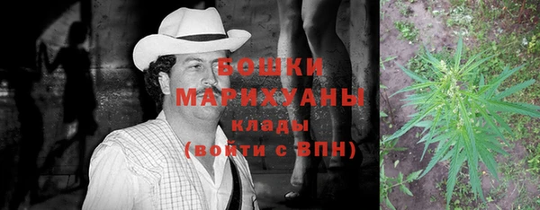 сатива Лагань